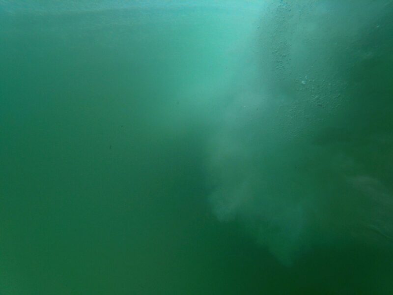 Relying On Leviathan