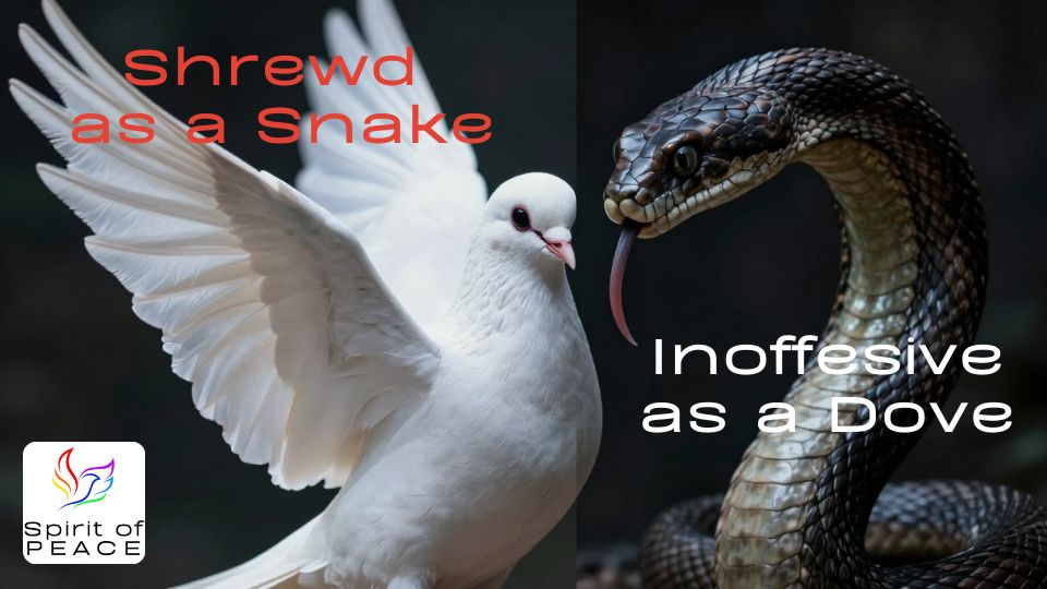 Shrewd as a Snake, Inoffensive as a Dove